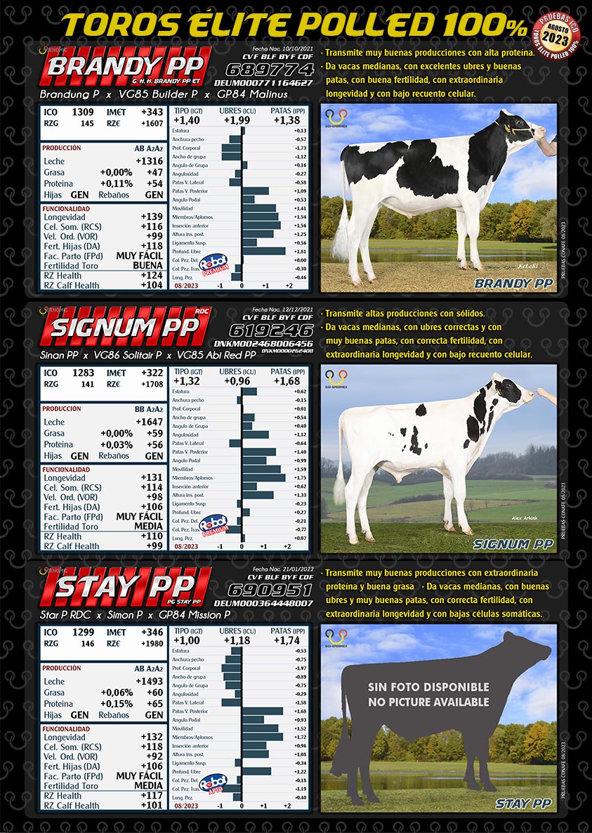 BAS·GGI - SPERMEX - TOROS ELITE POLLED